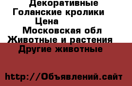 Декоративные Голанские кролики  › Цена ­ 3 000 - Московская обл. Животные и растения » Другие животные   